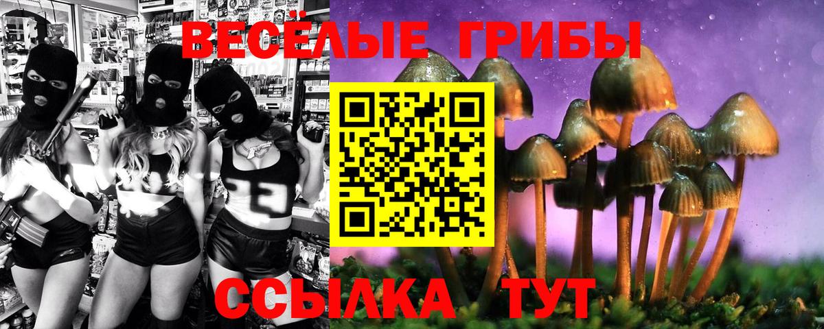 Галлюциногенные грибы мухоморы  где продают   Пыть-Ях  Вход с VPN 
